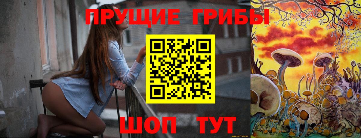 закладки  Галлюциногенные грибы Cubensis  Вход с VPN  Стрежевой 