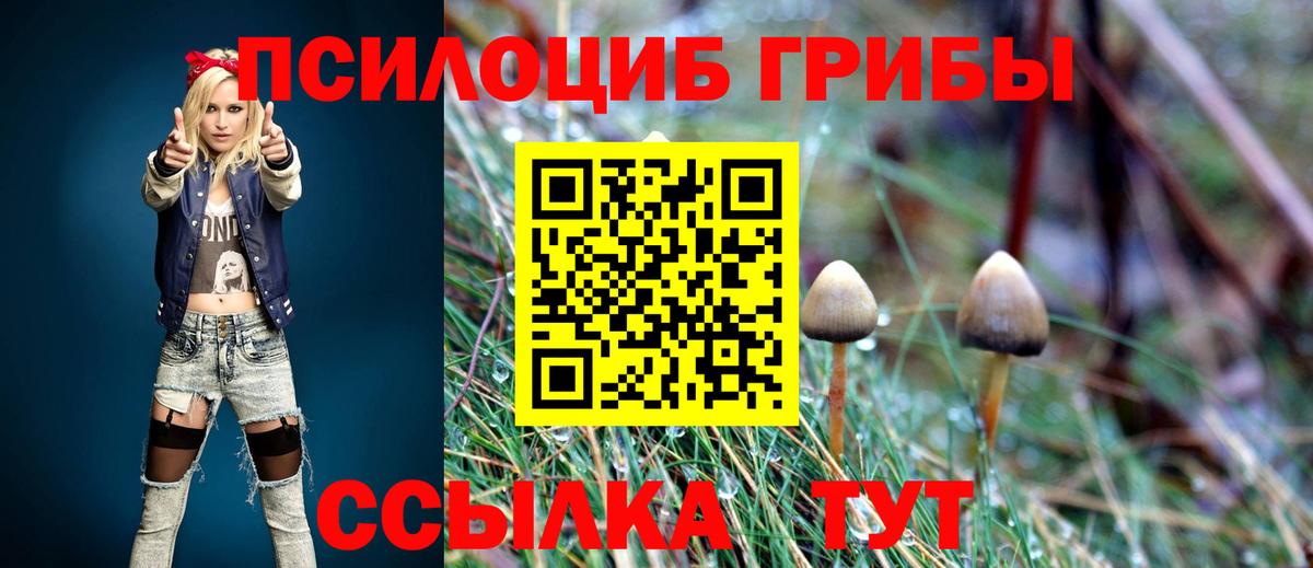 Галлюциногенные грибы Psilocybine cubensis Стрежевой